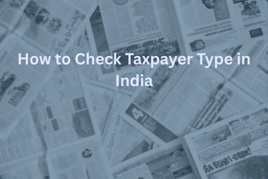 Check Taxpayer Type